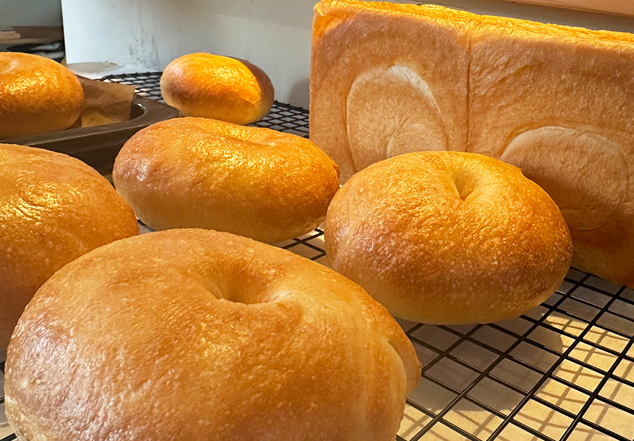 焼きたてのパン